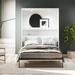 Wade Logan® Makassar Murphy Bed w/ Gallery Shelf & Touch Sensor LED Lighting Wood in White | 82.6 H x 58.1 W x 85.4 D in | Wayfair