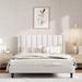 Mercer41 Stauton Platform Bed w/ Velvet & Striped Headboard Wood & /Upholstered/Metal & /Metal in White | Full/Double | Wayfair