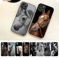 Great Beauty Horse Phone Case per Iphone 7 8 Plus X Xr Xs 11 12 13 iphone15 15promax Mini Mobile