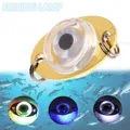 Fishing Lure Led Night Light Battery Powered Glow Underwater Lamp Fishing Eye Fish Fish Led