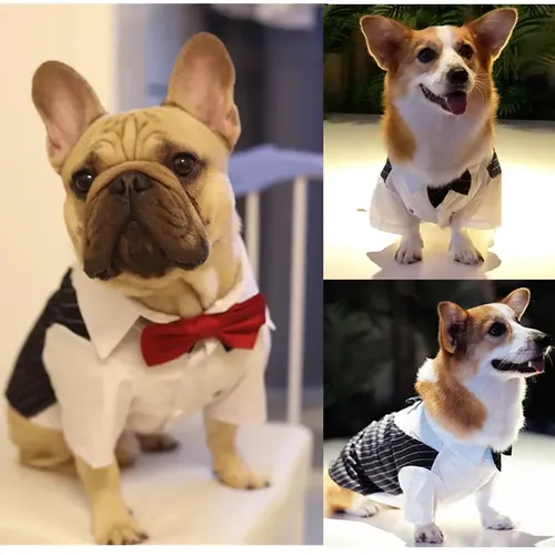 Hund Smoking Hund Anzug Welpen Haustier Smoking Hochzeits feier Kostüm Hund Prinz Fliege Shirt