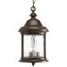 Lark Manor™ Antioca 3 -Bulb 18.75" H Outdoor Hanging Lantern Glass/Aluminium/Metal in Brown | 18.75 H x 9.63 W x 9.63 D in | Wayfair