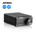 AIYIMA 100W Amplificatore Subwoofer Amplificatore di potenza audio TPA3116 Amplificatore audio Mono Home Altoparlante Amplificatore audio per altoparlante passivo