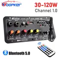 Woopker D10 Scheda amplificatore digitale Bluetooth Subwoofer Doppio microfono AMP per altoparlante 4ohm da 8-12 pollici 12V/24V 110-220V