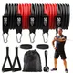 Resistance Bands Set 250lbs Elastic Exercise Bands with Door Anchor Handles Ankle Straps and Carry