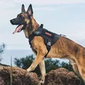 OneTigris Dog Harness Vest for Walking Hiking Hunting Tactical Military Water-Resistant MOLLE