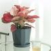 plastic flower pot 3 Sets Plastic Planter Indoor Flower Pot Garden Plant Pot for Home Office