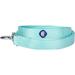 Blueberry Pet Essentials 21 Colors Durable Classic Dog Leash 5 ft x 3/8 Mint Blue X-Small Basic Nylon Leashes for Puppies