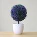 Hxoliqit Artificial Ball Shaped Tree Fake Fresh Green Grass Flower In White Plastic Pot For Home Office Tabletop Decor Centerpiece Desk Decorations Mini Ornaments Desktop Ornament Plastic Ornaments