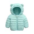 VERUGU Baby Jacket Cute Baby Girl Kid Boy Down with Ear Hoodie Spring Girl Infant Coat Green 2-3 Years