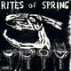 Rites of Spring - Rites of Spring CD Album - Used