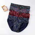 JIESHEN New Stripe slip vendita 4 pz/lotto Mens Brief Cotton Mens Underwear Pant For Men Sexy