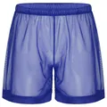 Costumi da bagno uomo Lingerie See-through Mesh Loose Lounge Boxer Shorts maschile Transparents