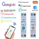TUYA GBDQA 63A 1P + N WIFI Smart Switch Contatore di energia Kwh Misurazione Monitoraggio Interruttore automatico MCB Interruttore automatico di controllo remoto