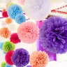 10/15/20/25/30cm pompon carta velina Pom Poms fiore baciare palle decorazione della casa forniture
