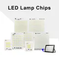 Chip per lampada a LED Lampadina SMD 220V 2835 Smart IC Ingresso luce a LED 10W 20W 30W 50W 100W 150W 200W per proiettore esterno