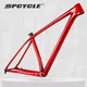 Spcycle 29er MTB Carbon Frame T1000 Carbon Hardtail Mountain Bike Frame BSA 148x12mm Boost Carbon