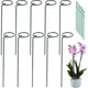 5/10pcs Garden Support Stake Ring Metal Garden Plant Supports Single Stem Shrub Holder for Plants