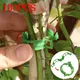 Plastic Plant Support Clips Reusable Vegetable Tomato Vines Protection Plant Clips Holder Grafting