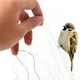 Bird Net Anti Bird Catcher Netting Pond Net Fishing Net Traps Crops Fruit Tree Flower Garden Mesh