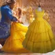 Beauty And The Beast Costumes Princess Belle Dresses Adult Fancy Cosplay Halloween Costume For Women