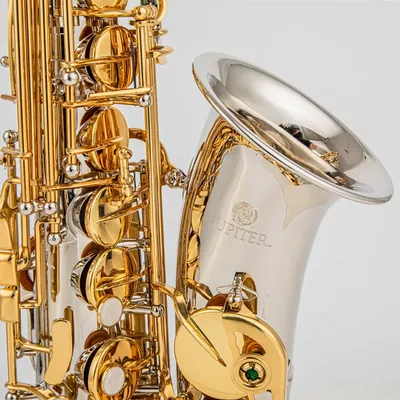 New Arrival Alto Eb Tune Saxophone Brass Musical Instrument Gold Lacquer Sax With Case Mouthpiece