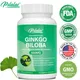 Ginkgo Biloba Capsules 500 Mg - Supports Brain Function and Memory Support 2 Month Supply