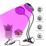 USB LED Grow Light Full Spectrum Phytolamp Grow Tent Phyto Lamp for Plants Seedling Flowers