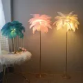 nordic decoration floor lamp for living room decor light ostrich feather lamps tall lamps for