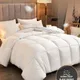 95% weiße Gans Bett Bettdecke Super King Größe Duvet Luxuriöse Gans Feder & Down Quilt Anti Allergen