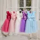 Summer Girl Flower Birthday Tulle Dress Backless Bow Wedding Gown Kids Party Wear Princess Pink