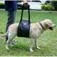 Portable Dog Sling For Back Legs Hip Support Harness to Help Lift Dogs Rear For Canine Aid and Old