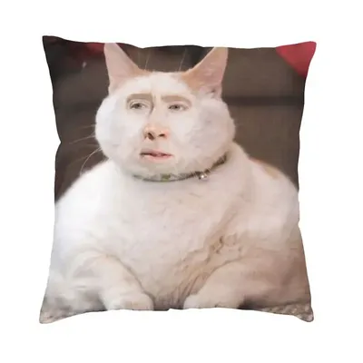 Nicolas Käfig Katze Meme Werfen Kissen Fall Schlafzimmer Sofa Dekoration Nordic Kissen Abdeckung Dekoration Salon Platz Kissen Druck Image