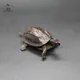 China Vintage Kupfer Bagua Feng Shui Drachen Schildkröte Statue Schreibtisch Kleine Ornament Hause