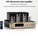 PM50 Combined Tube Power Amplifier Bluetooth Connection Top HIF Power Amplifier 6F1*2 and 6U1*2 Tube