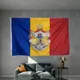 Kingdom Of Romania Hanging Flag National Emblem Banner 3X5FT 150X90CM Brass Metal Holes Graphic