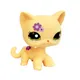 LPS KATZE Littlest pet shop spielzeug standing Kurze Haar Katze #1962 orange kätzchen mit lila blume