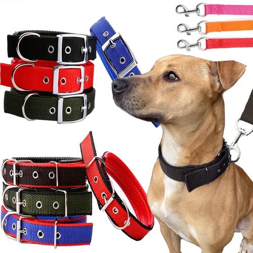 Hunde halsbänder Nylon Hunde halsband für kleine mittelgroße Hunde Teddy Keji Pitbull Bulldogge