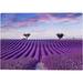 1000 PCS Jigsaw Puzzles 29.5 x 19.7 Artwork Gift for Adults Teens Lavender Field Sunset Landscape Wooden Puzzle Games