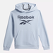 Unisex Reebok ID Hoodie - Little Kids in