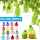 20-200PCS Vegetable Grapes Fruit Grow Bags Fruit Protection Bags Garden Anti-Bird Netting Mesh Bag