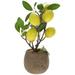 HOMEMAXS Artificial Potted Lemon Tree Realistic Lemon Bonsai Artificial Fruit Tree Decor