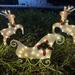 Teissuly Christmas Decorations Black X Friday 3Pcs Christmas Scene Decoration Decorations Luminous Christmas Sleigh Cart Courtyard Garden Ornaments Gift