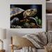 Bay Isle Home™ Closeup Turtle Portrait II - Animals Metal Wall Decor Metal in Brown | 16 H x 32 W x 1 D in | Wayfair