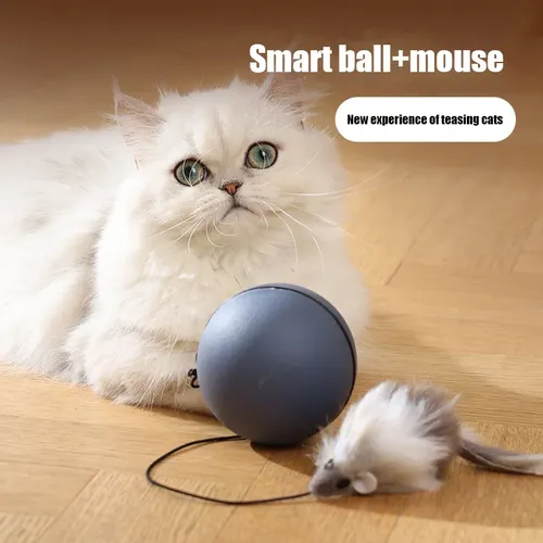 Kimpets Katzen spielzeug Maus Teaser Ball Spaß bewegliches Spielzeug für Haustier Katze Hund