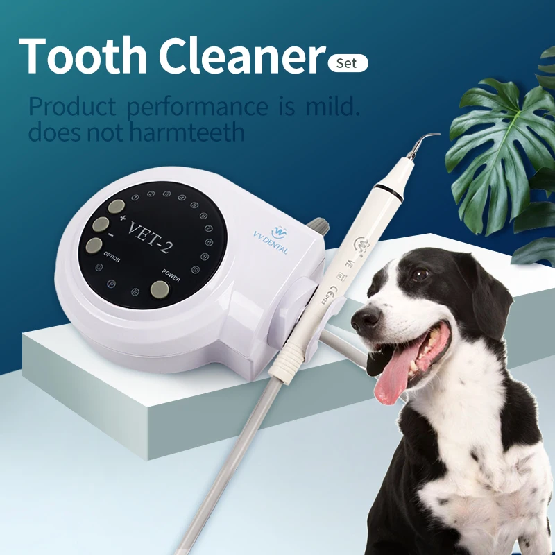 Pet Dental Ultraschall Scaler Hund Professionelle Oral Scaler für Haustier Entfernen Zähne Zahnstein mit 5 * Tipps Zahnmedizin Bleaching Werkzeuge Image