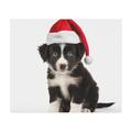 DistinctInk Mouse Pad - 1/4 Foam Rubber - Border Collie Puppy