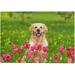 Dreamtimes Wooden Jigsaw Puzzles 1000 Pieces Golden Retriever Sits in Tulip Field Educational Intellectual Puzzle Games for Adults Kids 29.5 x 19.7