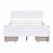 Alcott Hill® Chaelynn Platform Storage Bed Wood in White/Brown | 35.39 H x 56.29 W x 82.59 D in | Wayfair 999F54DDFD464C63B8733D8AB41FD8B6