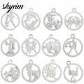Skyrim 12 Zodiac Sign Twelve Constellation Pendants Rhodium Plated Charms DIY Jewelry Aquarius